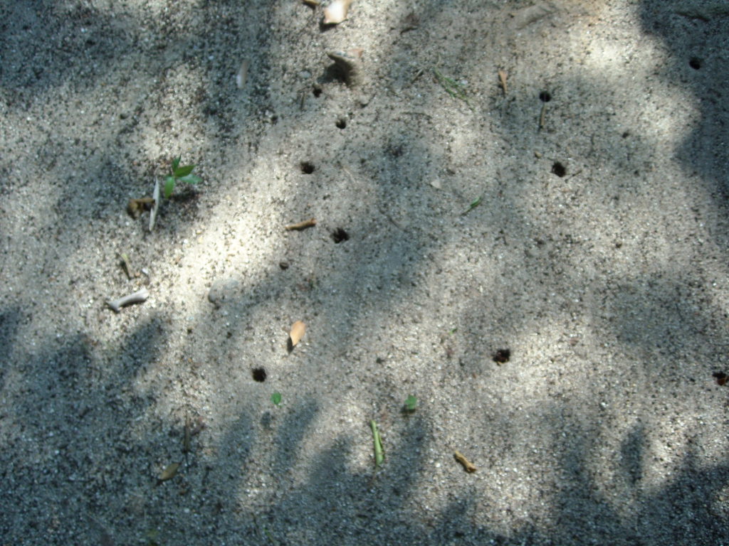 d0137658_12401021.jpg