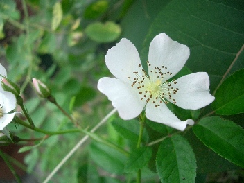 c0186463_16302146.jpg