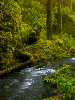 a0063364_012174.gif