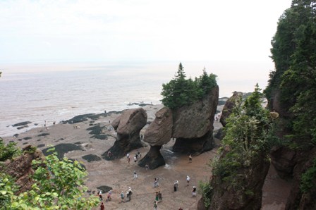 a0100975_11201480.jpg