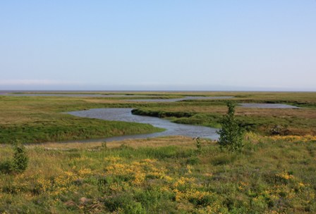 a0100975_12512886.jpg