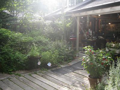 b0120675_23545470.jpg