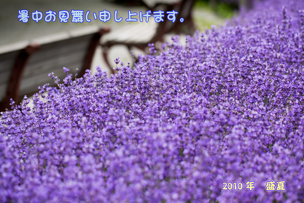 c0210180_22431078.jpg