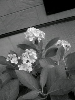 f0100480_21191373.jpg