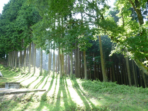 f0237680_12595319.jpg