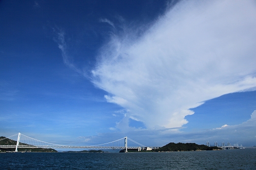 e0190885_2032369.jpg