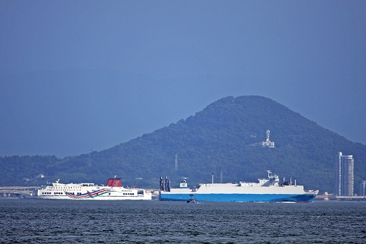 e0190885_20333016.jpg