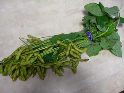 f0234590_1416641.jpg