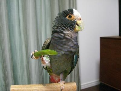 f0234590_14212284.jpg
