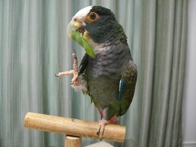 f0234590_14213715.jpg