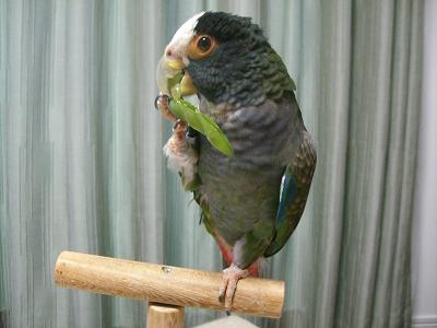 f0234590_1421785.jpg
