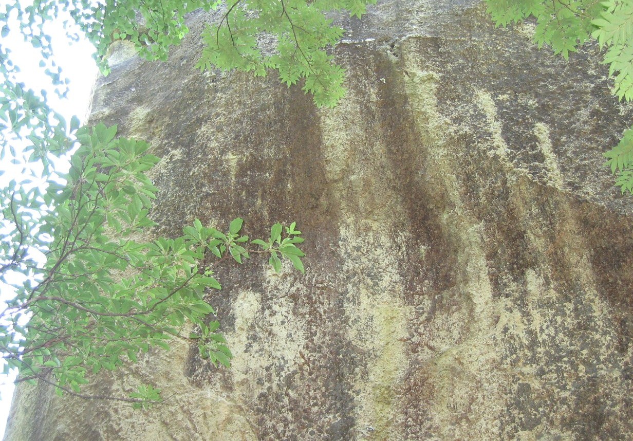 b0146794_230558.jpg