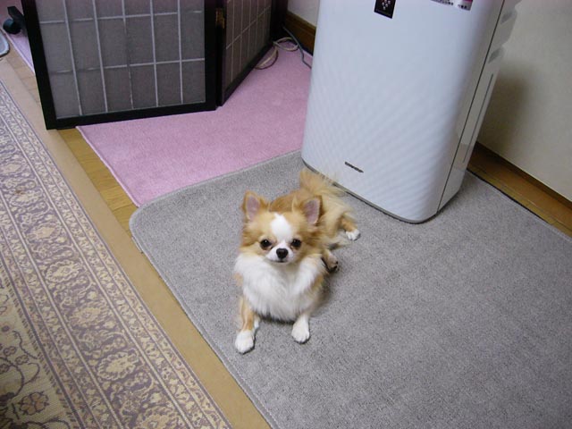 f0077097_16274894.jpg