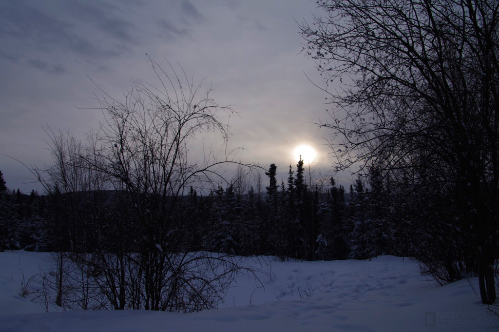 c0080101_14441574.jpg
