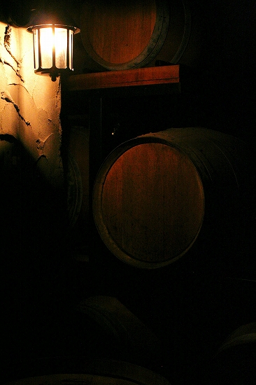 d0112003_2332077.jpg
