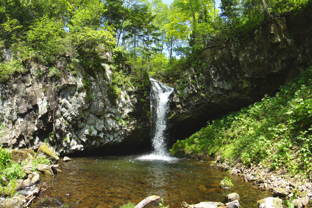 d0051707_216280.jpg