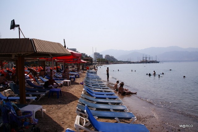 c0037611_2150348.jpg