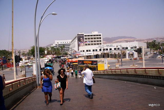 c0037611_2151537.jpg