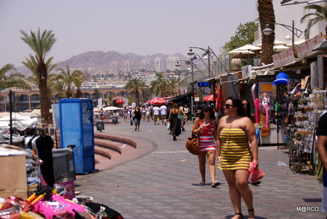 c0037611_21544719.jpg