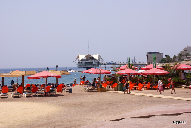 c0037611_21551551.jpg