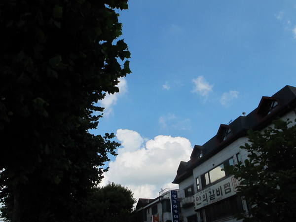 a0101715_1104450.jpg