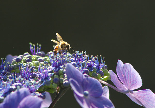 e0001123_20101739.jpg