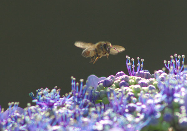 e0001123_2022105.jpg