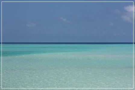 f0183423_11494124.jpg