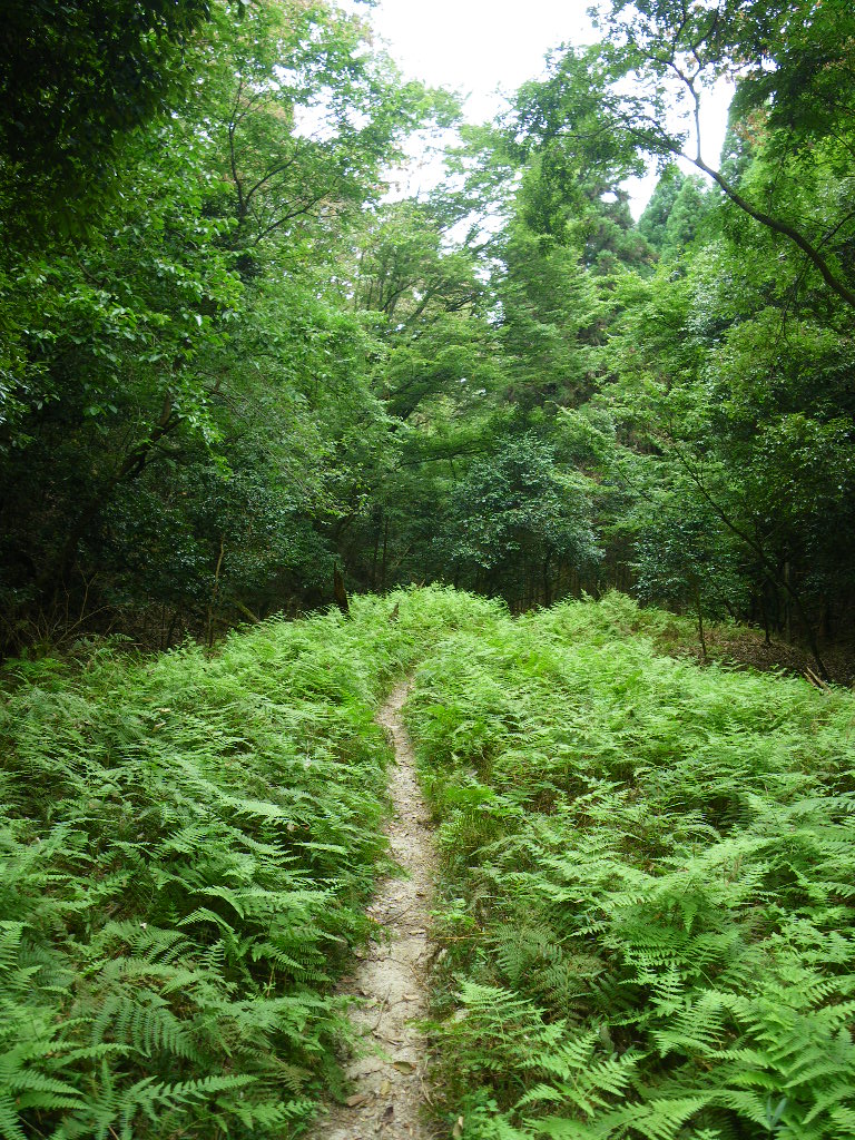 c0189724_203601.jpg