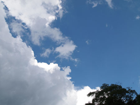 c0024135_1391399.jpg