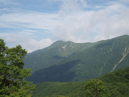 c0024135_1393955.jpg