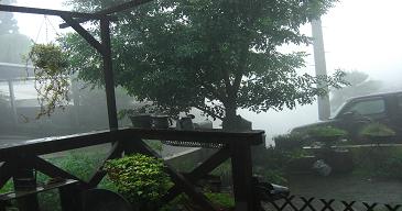 b0184636_15443839.jpg