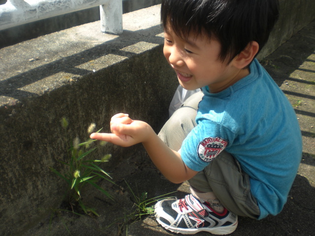 a0117937_16145880.jpg