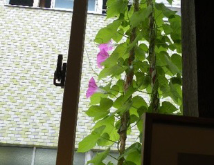 e0031142_7124969.jpg
