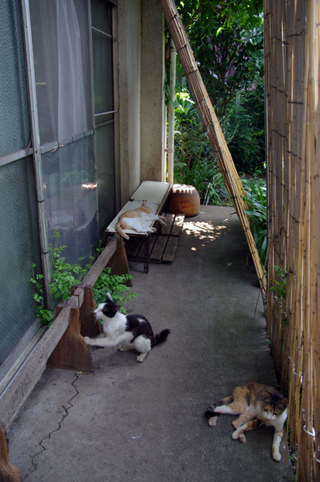 f0149442_0494991.jpg