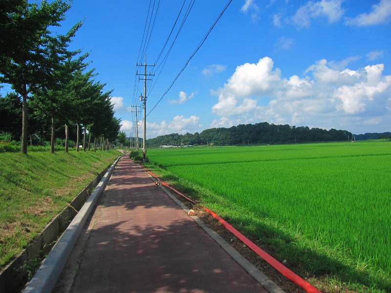 d0183544_714586.jpg