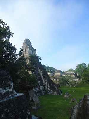 d0160647_21571856.jpg