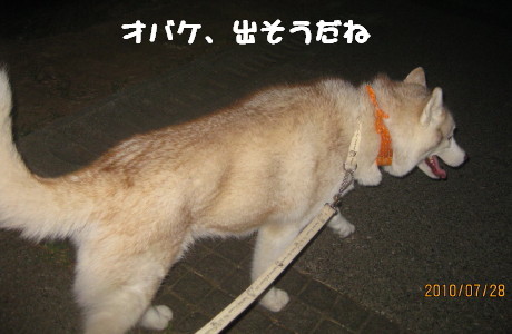 e0121548_22123424.jpg