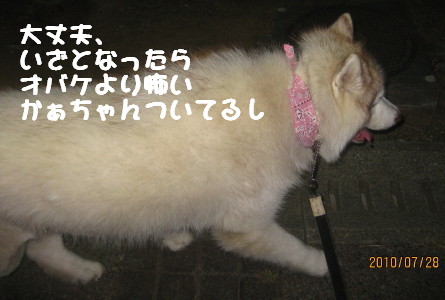 e0121548_2214112.jpg