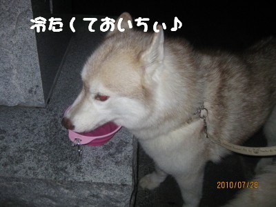 e0121548_22171736.jpg