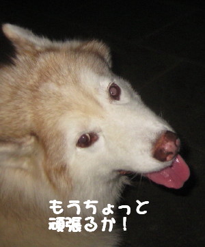 e0121548_22193471.jpg