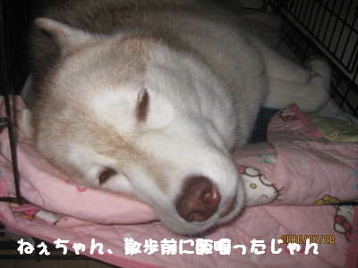 e0121548_2230649.jpg