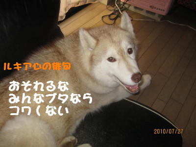 e0121548_8473399.jpg
