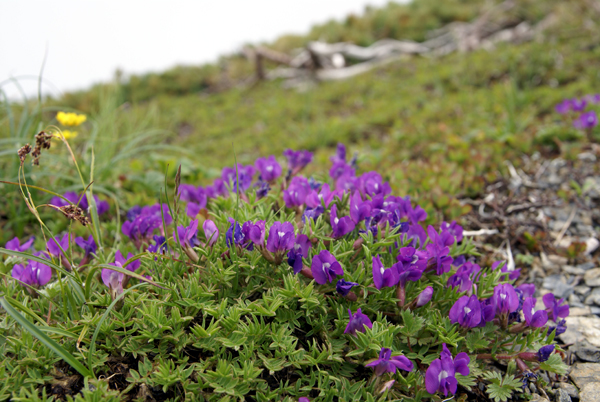 f0214649_1136316.jpg