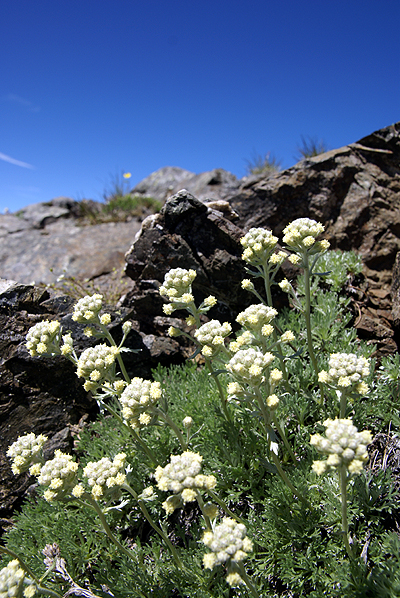 f0214649_7252657.jpg
