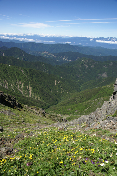 f0214649_7341325.jpg