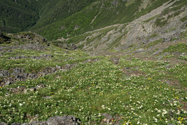 f0214649_8522031.jpg
