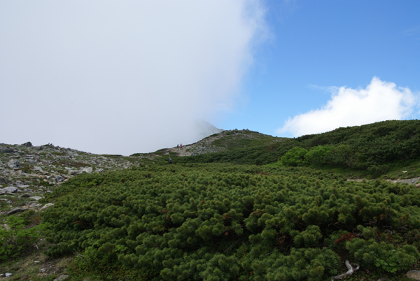 f0214649_8581313.jpg