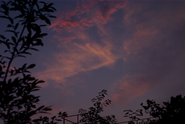 f0176353_10371292.jpg