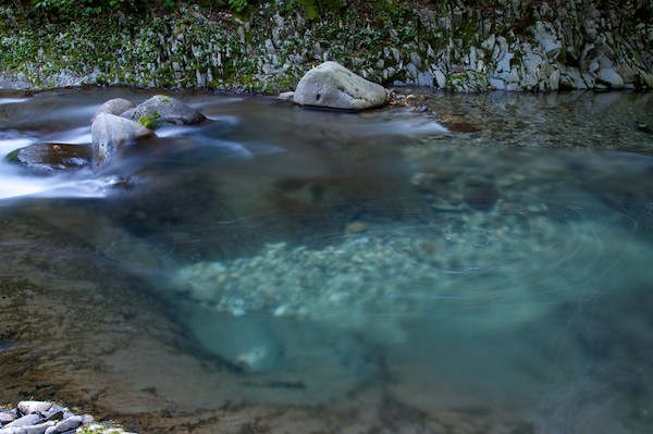 e0122855_11373166.jpg